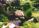 Aqua Tropic World